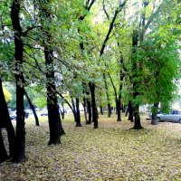 В городе осень,,, :: Александр Лысенко