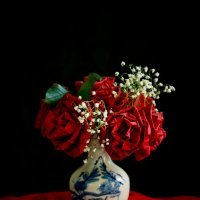 Розы :: Ангелина Хасанова