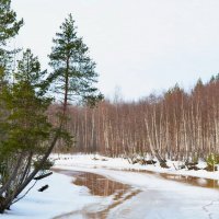северная речка весной :: Sasha Chernova