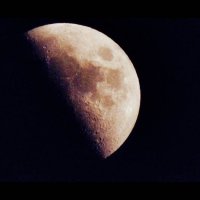 moon :: Саша Михайленко