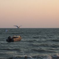 Азовское море. :: ne.tochka 