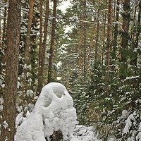 Снежные скульптуры, похожие на человеческие образы. :: Валерий. Талбутдинов.