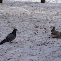 Голодные игры. Начало :: Александр 