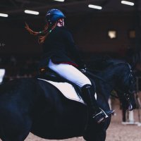В конном спорте ничему не научишься зря. :: Alesya Safe