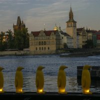 Пингвины в Праге. :: Сергей Глотов