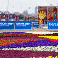Цвета и цветы Олимпийского парка :: Татьяна Копосова
