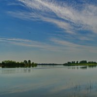 Бия.Лето,большая вода. :: Владимир Михайлович Дадочкин