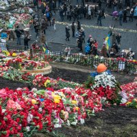 Цветы на Майдане :: Юрий Матвеев