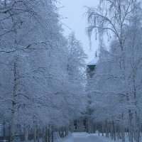 Зима в Сургуте :: Ирина 