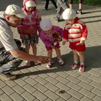 Осторожно дети - бабочка! :: Владимир Шошин