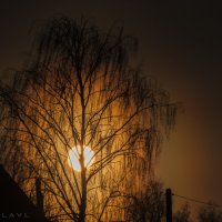 Весенний закат! :: Павел Данилевский