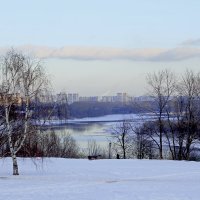 Зима-холода :: Ирина Дмитриева