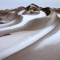 Снег в Кара-кумах -22 :: Ахмед Овезмухаммедов