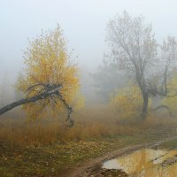 Осень в тумане :: Георгийf 
