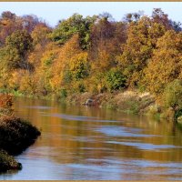 Река цвета осени :: Антонина Гугаева