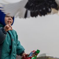 Мальчик кормит голубей :: Алексей Зайцев