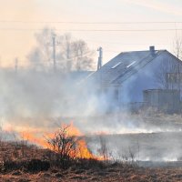 пришла весна... :: Андрей Куприянов