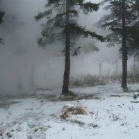 Поднимается туман :: dmitriy-vdv 