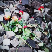 цветы в память :: Ира Днепровская