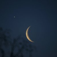 Луна и венера. :: Николай С