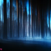 Таинственный лес :: Валерий Зонов