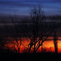 вот моя деревня, вот мой дом родной... :: Елена Нешитая