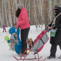 попу поднял,место потерял ))) :: Дмитрий Новоселов