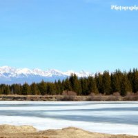 Лучше увидеть это своими глазами;) :: Виктория Данилова