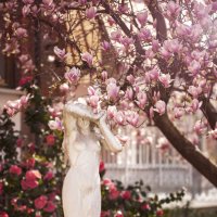 Весна :: Olga Verenich