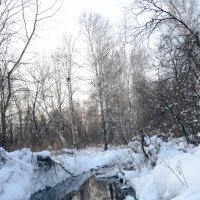 Зимний ручей :: Сергей Лошкарёв