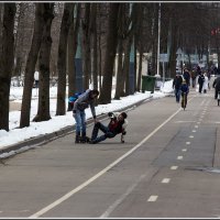 Сокольники :: Михаил Розенберг