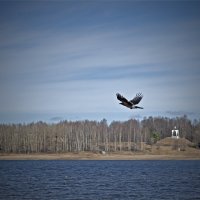 Полет :: D. Matyushin.