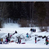 Павловск :: vadim 