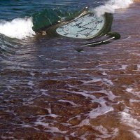 Сломанная машина времени, выброшенная на берег волнами Чёрного моря :: Alexei Kopeliovich