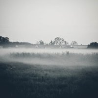 Туман над селом :: Александра Карпушкина