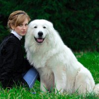 Дама с собачкой........ :: Юрий Белов