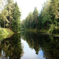 Павловск.Парк :: Владимир Гилясев