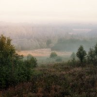 Вологодские просторы... :: Александр Никитинский