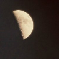 Луна. :: Alla Kachuro
