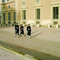 Стокгольм, смена караула у Дворца :: Poliano4ka Poliano4ka