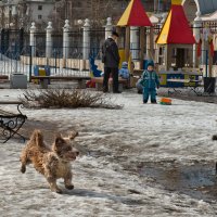 Бесшабашная радость :: Алёна Михеева