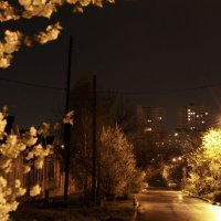 Та же улица ночью :: Алексей Кучерюк