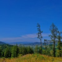 С Ябоганского перевала.Горный Алтай :: Владимир Михайлович Дадочкин