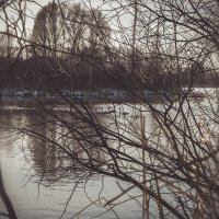 Озеро :: Софья Третьякова