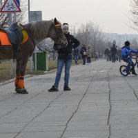 изольда :: Виктор Замятин