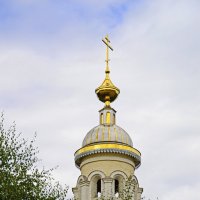Золотые купола :: Сергей Бушуев