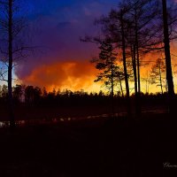 Тревога... Пожар на закате. :: Светлана Воробьёва