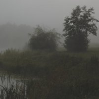 Туман :: Александр Шмидт
