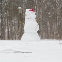 Весенний снеговик. :: Алексей. Бордовский