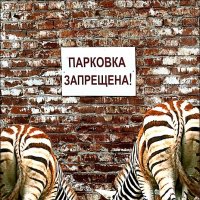 "Парковка запрещена!" :: Александр Копалов